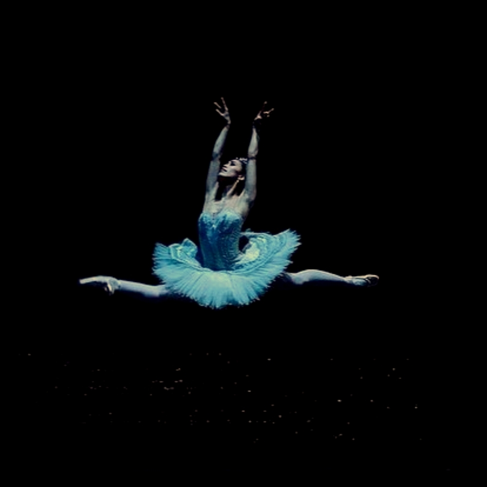 Meet your Posher, Feng